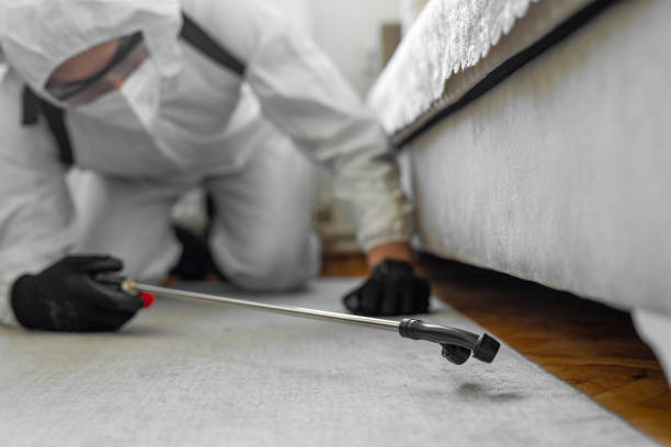 Professional Cockroach Control technician working in Oswego, KS