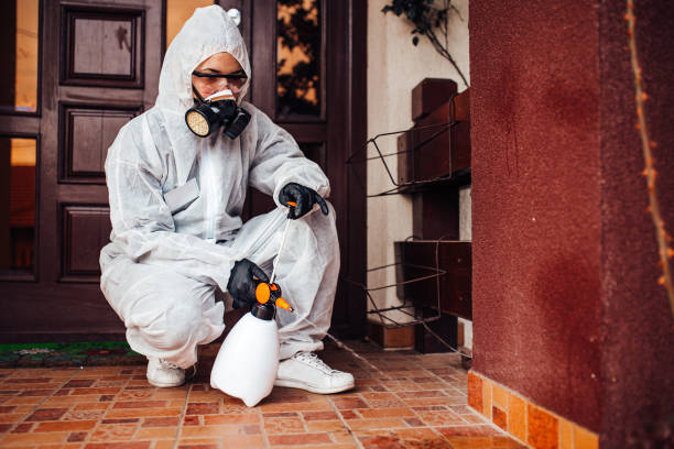 Reliable Cockroach Control contractor in Oswego, KS by Nex Pest Control