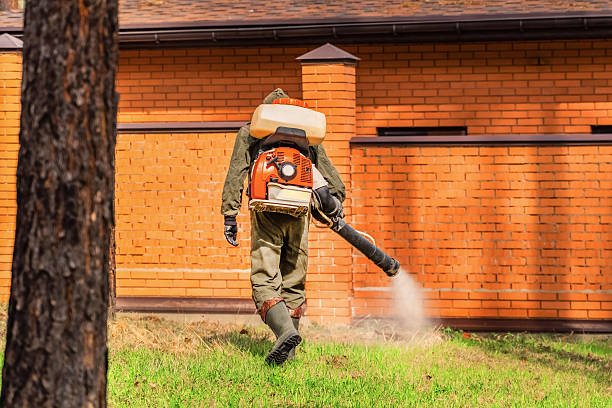 Trusted Bed Bug Control service in Oswego, KS - Nex Pest Control